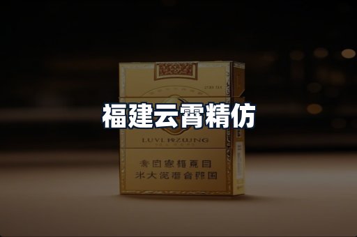 福建云霄精仿